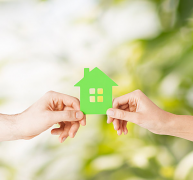 贝壳个初生的向阳